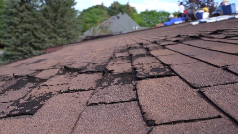 Best Sheet Metal Roofing  in Indian Wells, CA